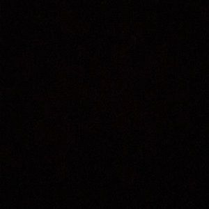 Meet your Posher, Janae